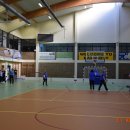 senio 11
